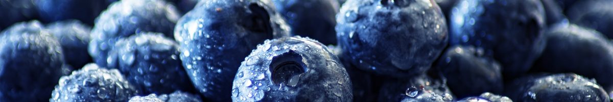 blueberries-ge4dc5962a_1920